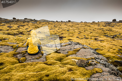 Image of Surrounded by Icelandic moss