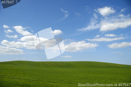 Image of Green field with blue sky and clouds