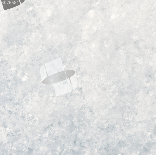 Image of fresh snow