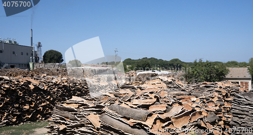 Image of Piles of Cork Oak bark 