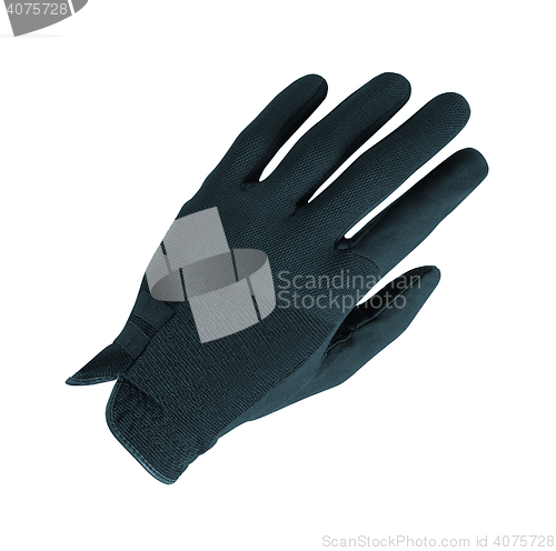 Image of Glove