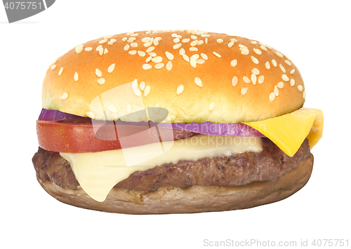 Image of hamburger on white background