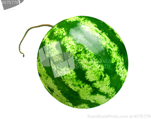 Image of watermelon on white background