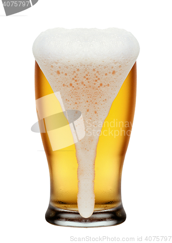 Image of Glass of beer