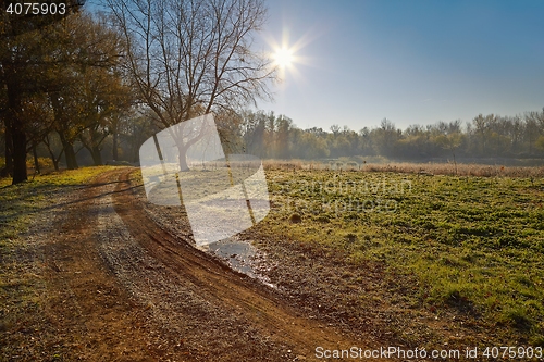 Image of Autumn morning landscape