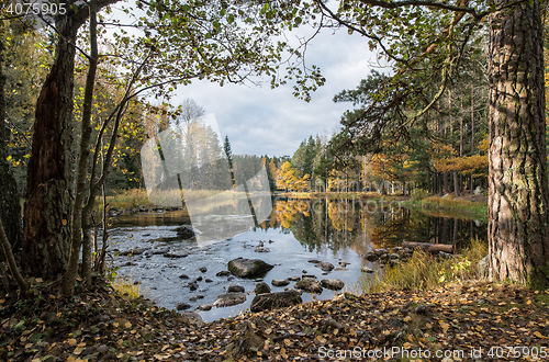 Image of Sunshine river