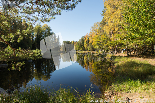 Image of Sunshine river