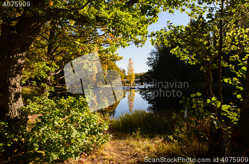 Image of Sunshine river