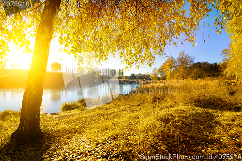 Image of Colorful autumn on river