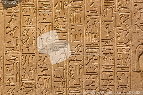 Image of Ancient Hieroglyphic Script