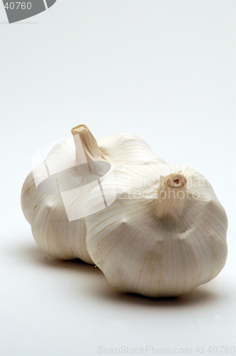 Image of two garlic on white background