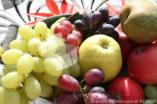 Image of Different kind of fruits in the garden