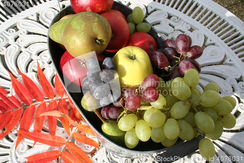 Image of Different kind of fruits in basket on white table in the garden