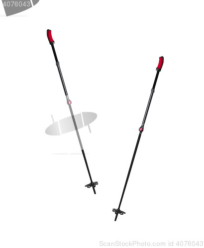 Image of Ski and hiking poles with large snow cups