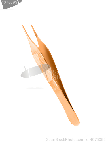 Image of Little cooper hair tweezers