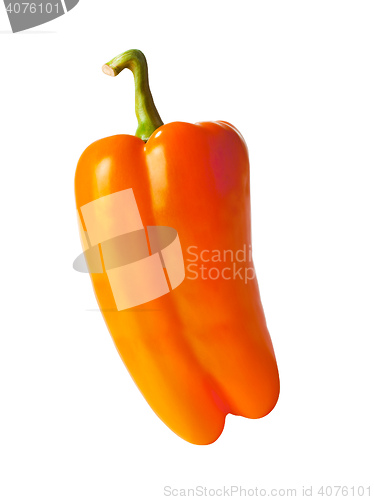 Image of orange pepper isolated on white