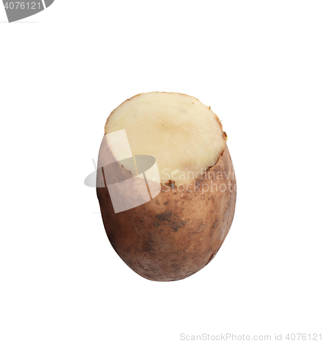 Image of potato isolated