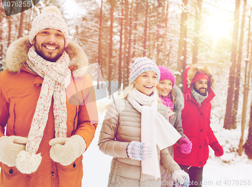 Image of group of smiling men and women in winter forest