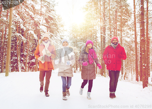 Image of group of smiling men and women in winter forest