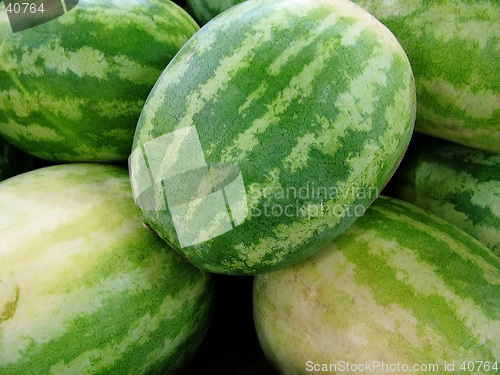 Image of water-melon