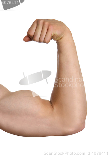 Image of biceps isolated on white