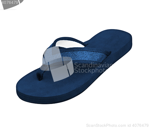 Image of blue Slipper isolated