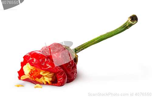 Image of Piece red hot chili pepper with seeds