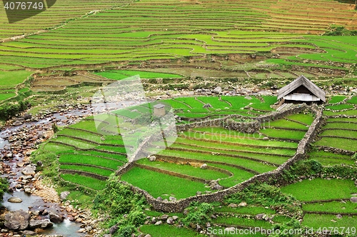 Image of Rice field terraces