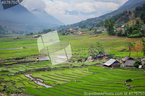 Image of Rice field terraces