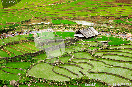 Image of Rice field terraces
