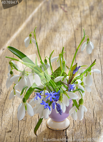 Image of Beautiful bouquet of snowdrops in vase