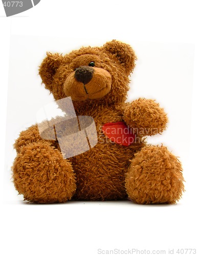 Image of teddy bear