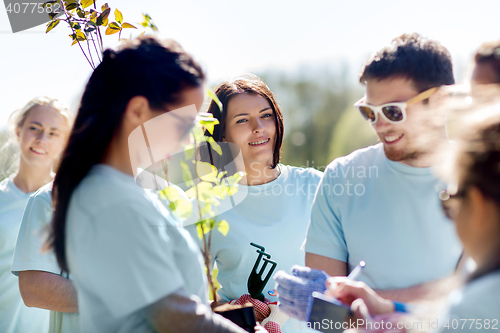 Image of group of volunteers planting trees in park