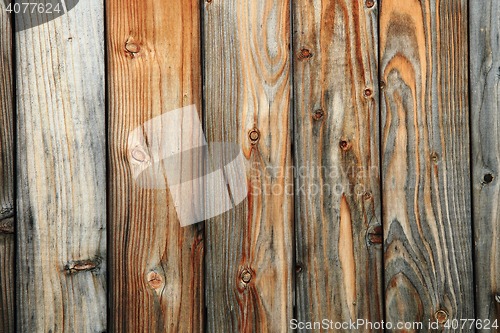 Image of abstract wooden texture