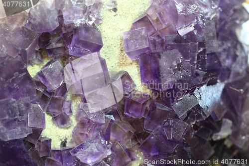 Image of violet fluorite cubes