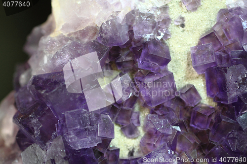 Image of violet fluorite cubes