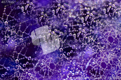 Image of spider web with water drops 