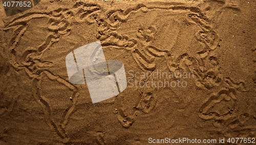 Image of yellow sand texture (world map)