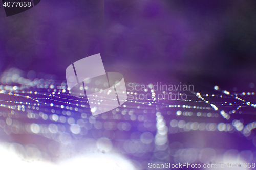 Image of spider web with water drops 