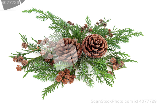 Image of Winter Flora Arrangement