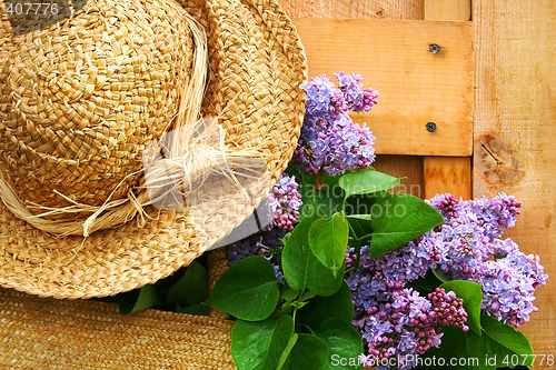 Image of Freshly picked liliacs