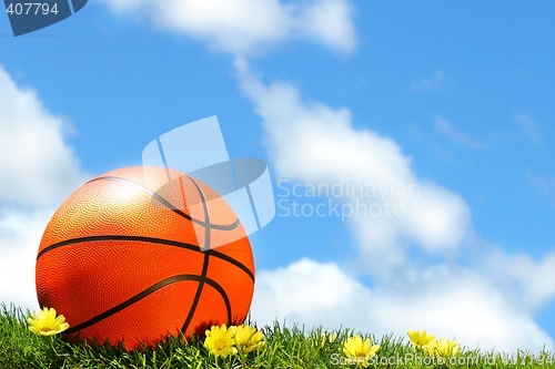 Image of Basketball on the grass