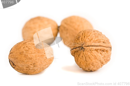 Image of health food walnut snack on isolated background nutshell