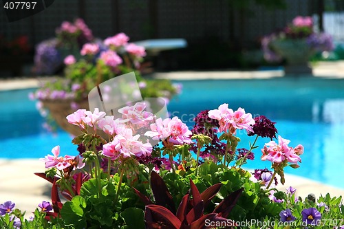 Image of Poolside with flowers