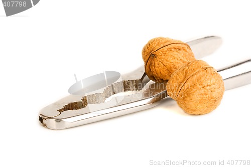 Image of health food walnut snack on isolated background nutshell