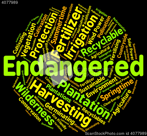 Image of Endangered Word Means Facing Extinction And Endangering