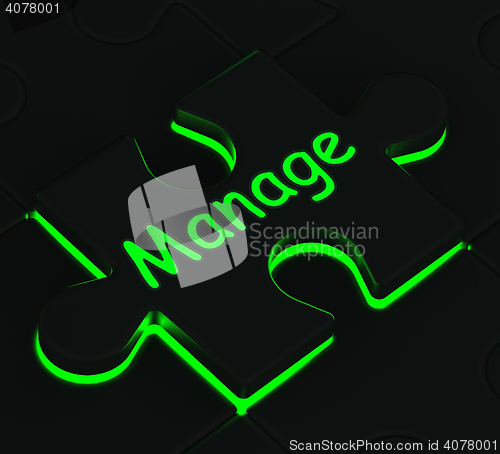 Image of Manage Puzzle Shows Business Manager