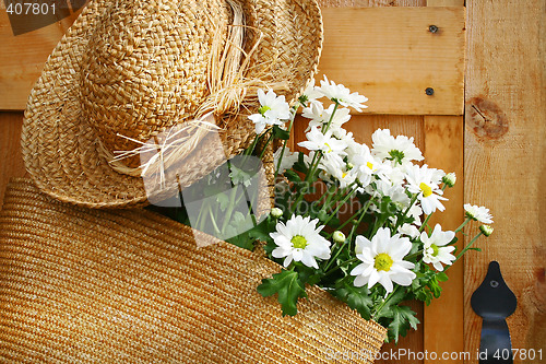 Image of Daisies in summer purse