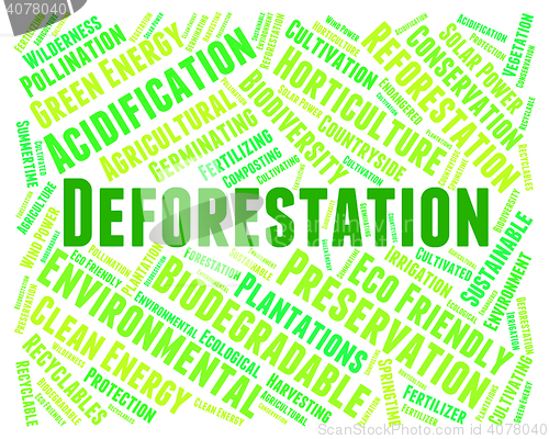 Image of Deforestation Word Means Cut Down And Clear