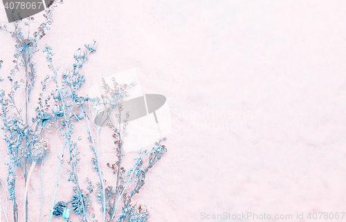 Image of Light Floral Background